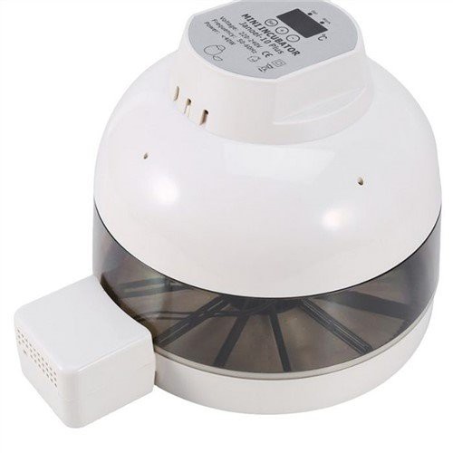 Mini Incubadora de Huevos